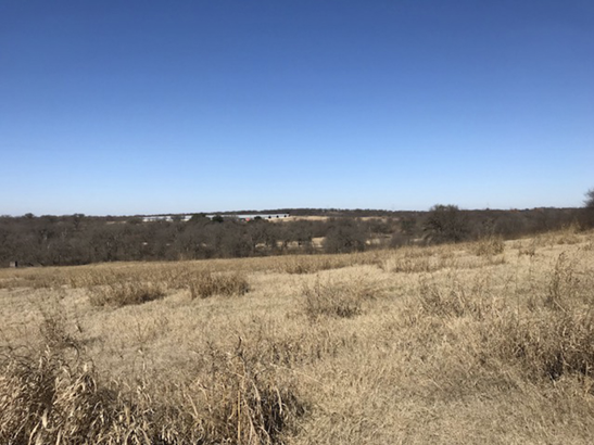 An overview of a large field. Most of the field is cleared, without trees. In the far distance, there are darker-colored trees and a building.